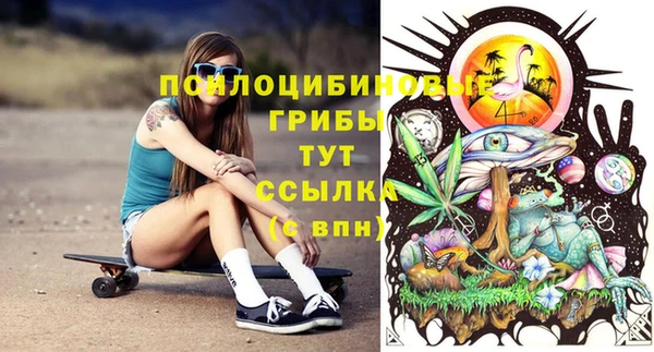 apvp Балахна