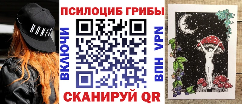 закладка  Волгореченск  Галлюциногенные грибы Psilocybe 